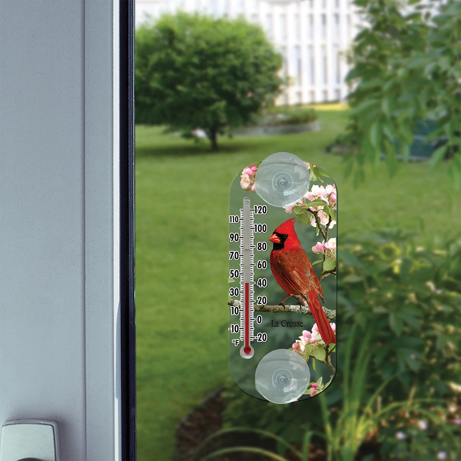 Bird Variety Pack - Window Thermometers - Image 3