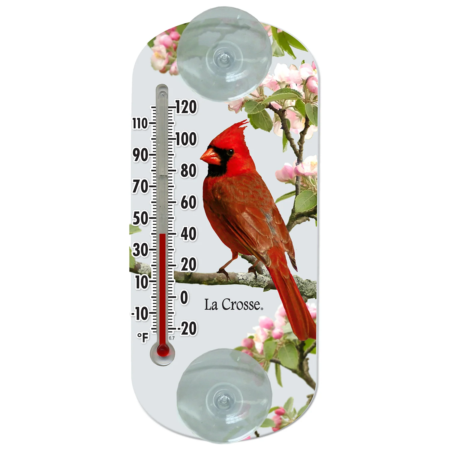 204-15203 Variety Pack - Window Thermometers - Image 6