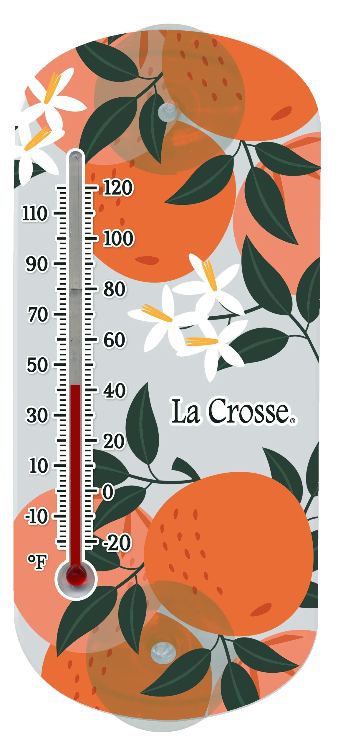 204-1520G Window Thermometer