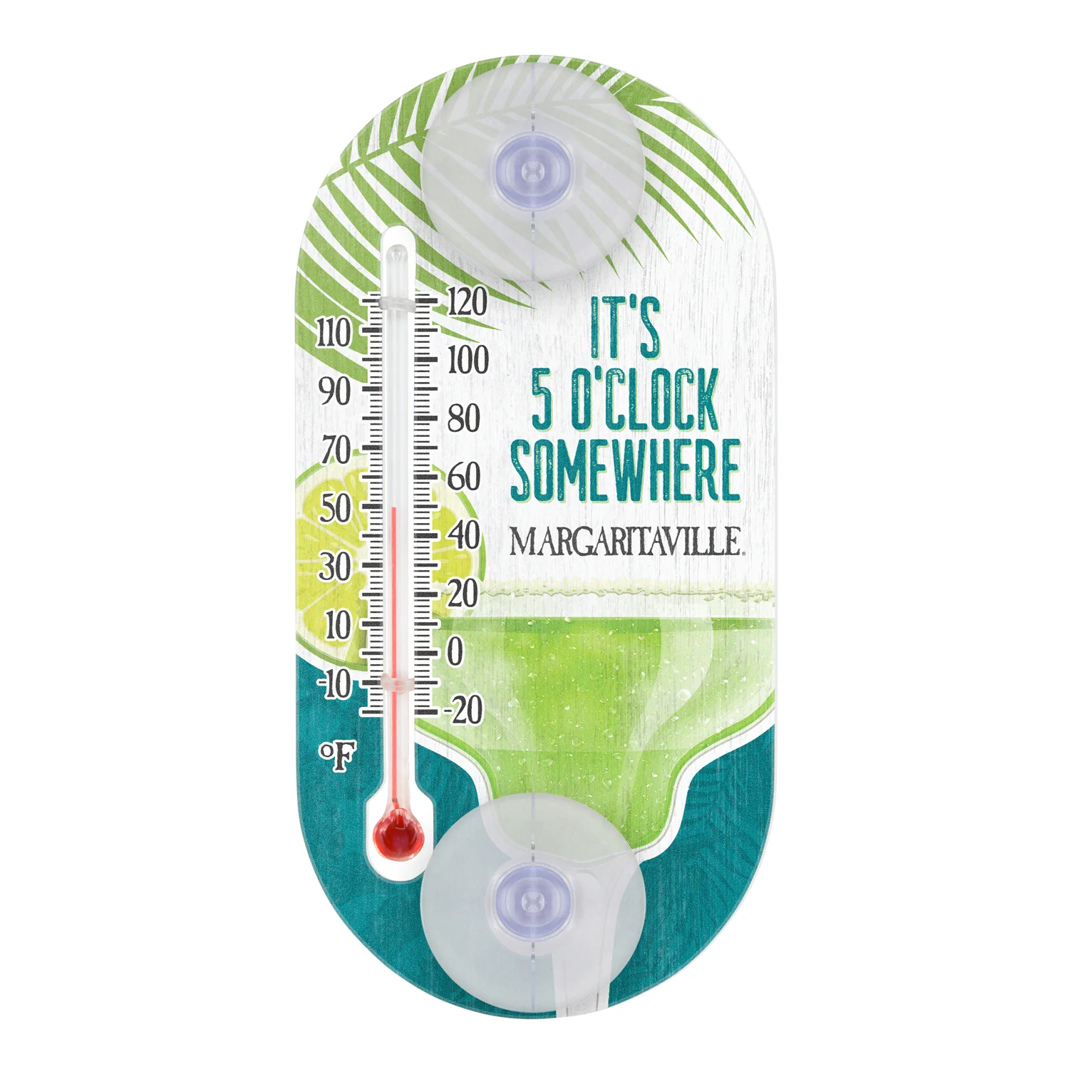 204-154MV4 Window Thermometer