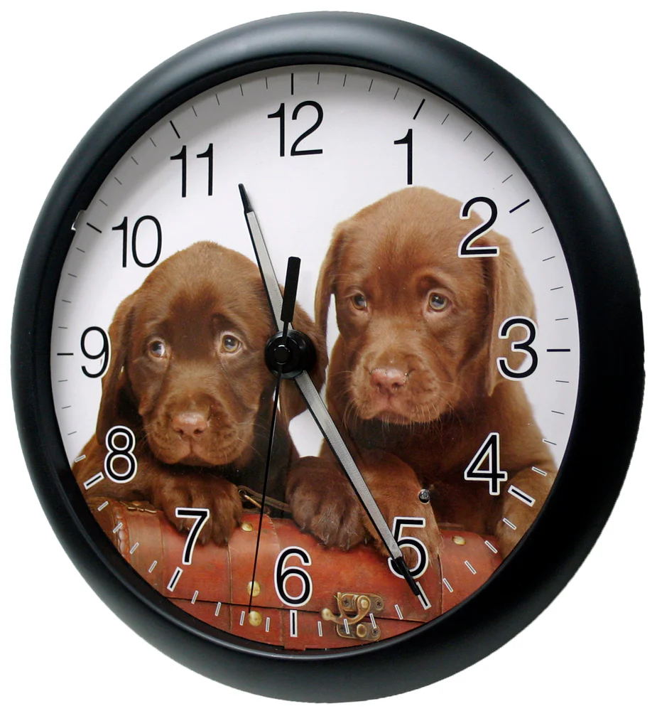 10 inch Wall Clock with Glowing Hands - Puppies