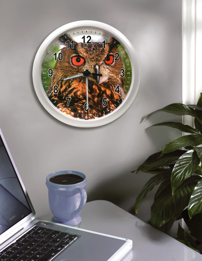 10 inch Wall Clock with Glowing Hands - Owl