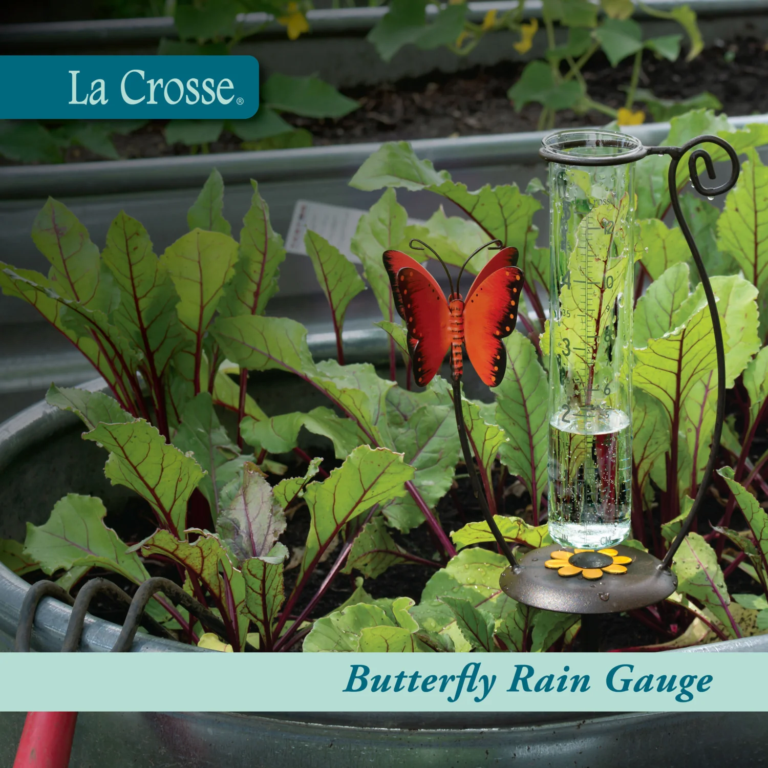 704-13077 Butterfly Rain Gauge - Orange - Image 2