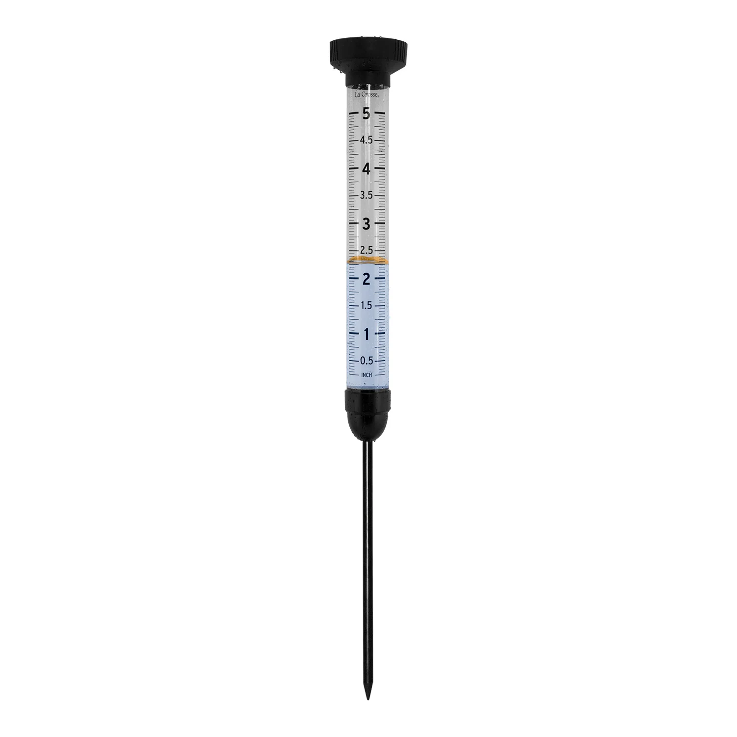 Jumbo Rain Gauge