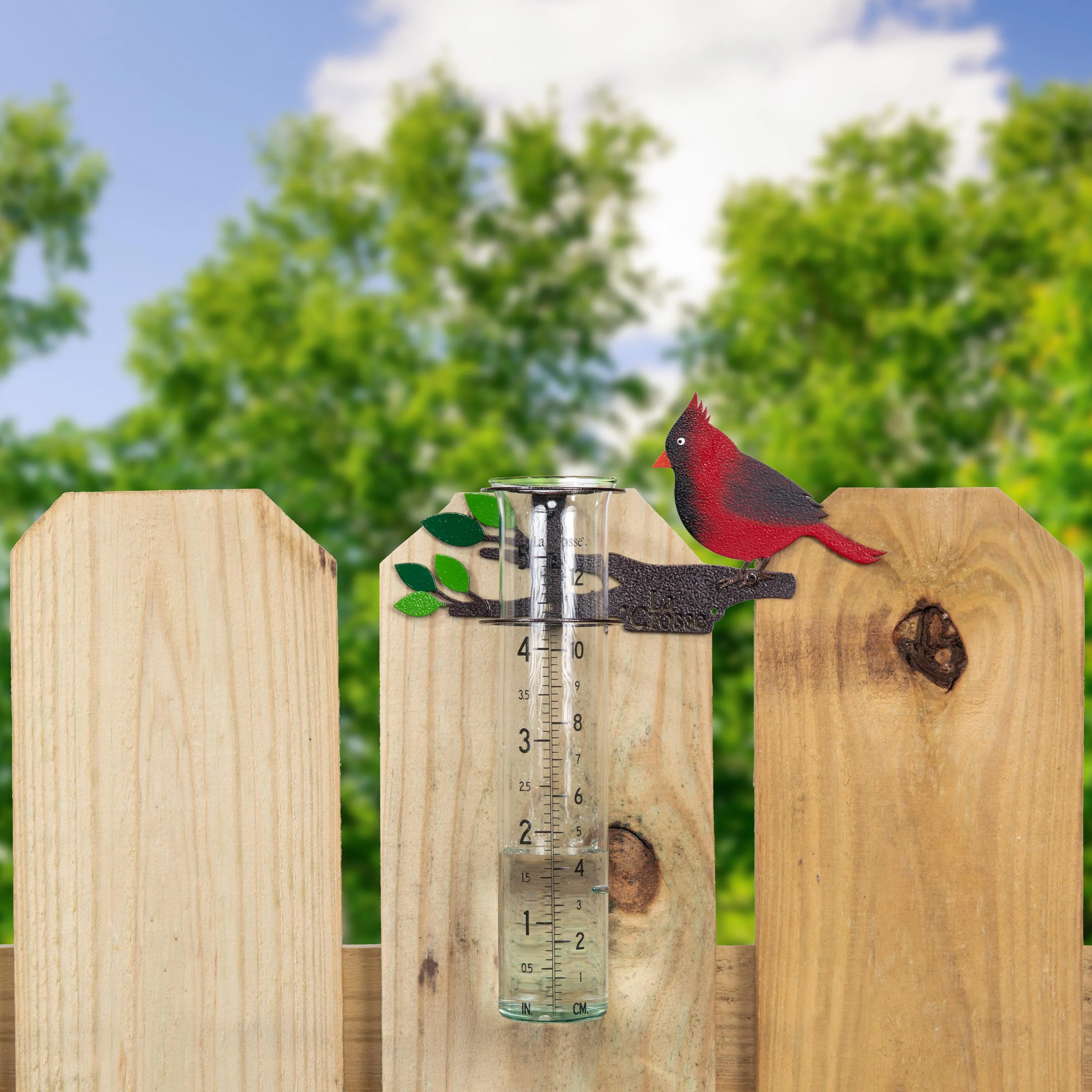 704-4612 Metal Cardinal Rain Gauge - Image 4