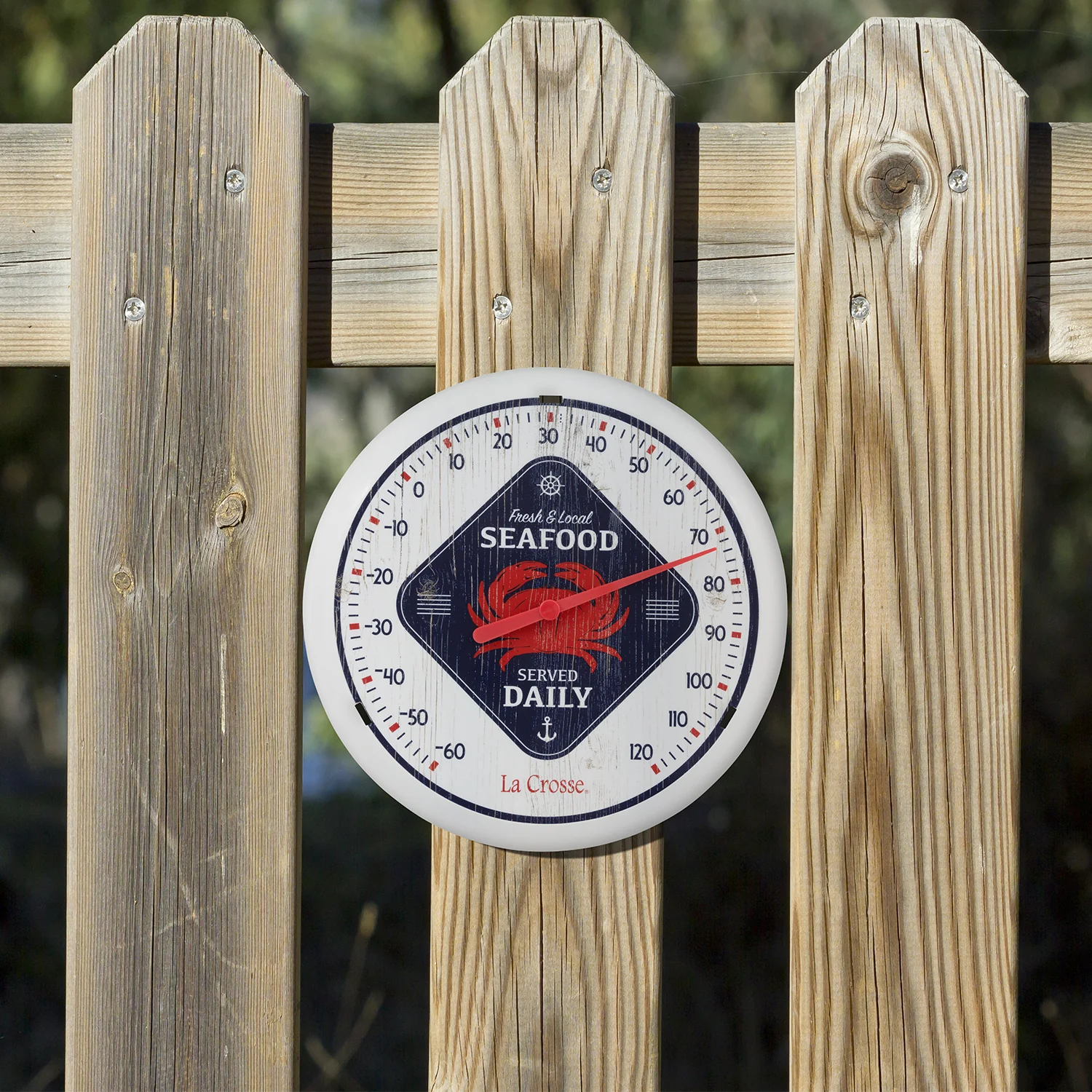 HD81861 12 inch Thermometer - Image 3