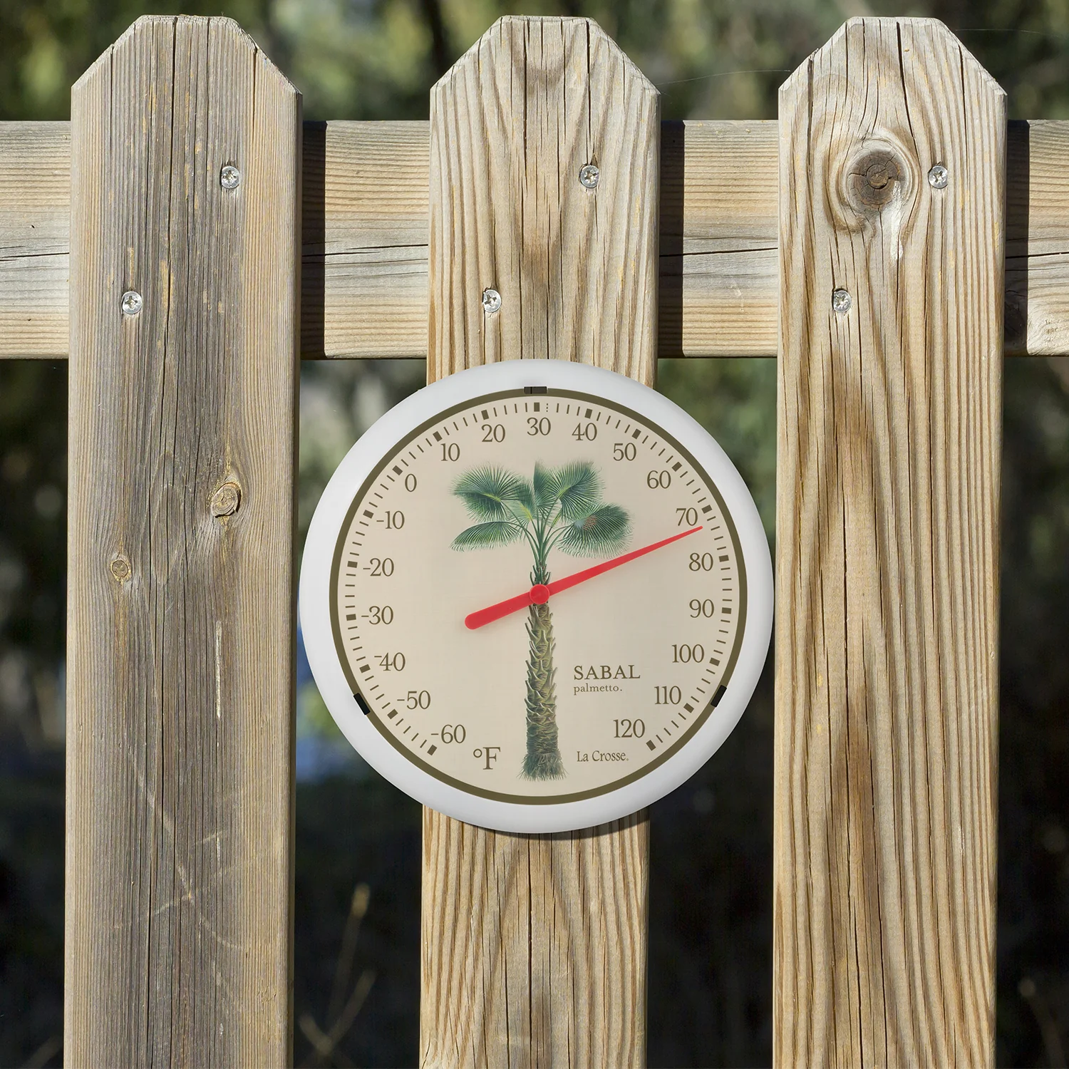 HD81892 12 inch Thermometer - Image 2