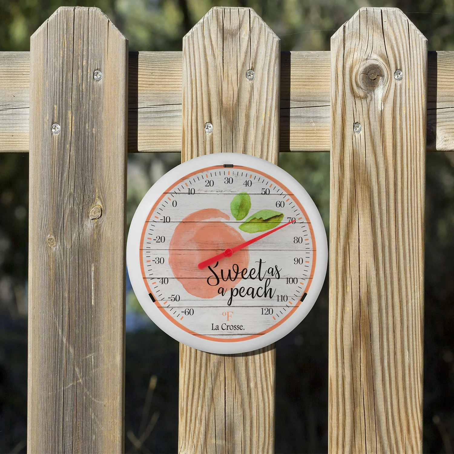 HD81915 12 inch Thermometer - Image 3