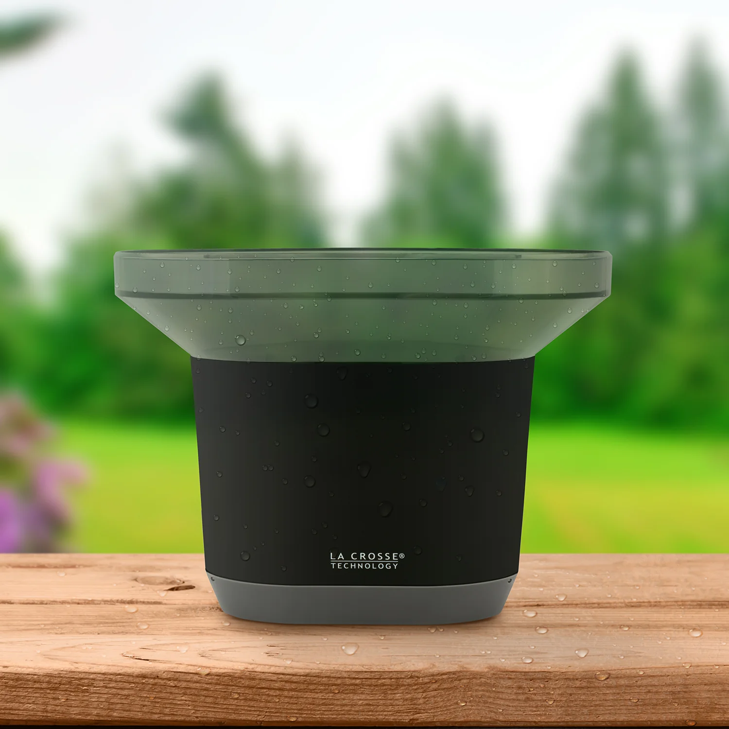 TX145R Rain Gauge - Image 2