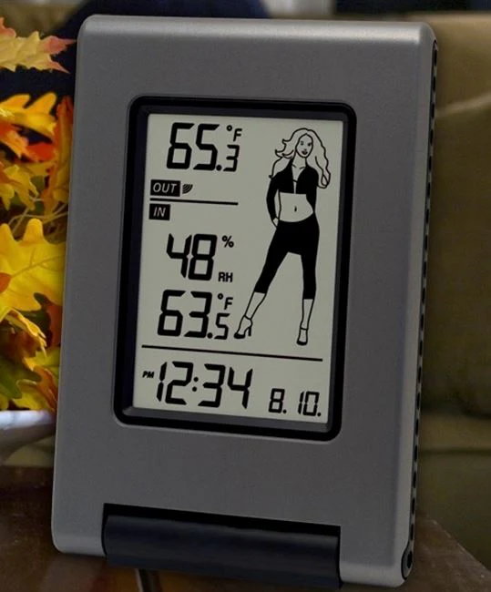 Wireless Temperature Station with Advanced Icon - Image 3
